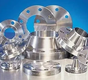 Stainless Steel Forged Flanges