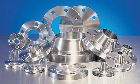 Stainless Steel Forged Flanges