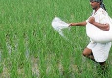 FERTILIZERS