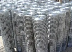 Stainless Steel Wire Mesh
